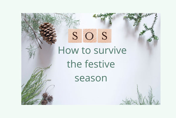 How to survive the Festive Season
