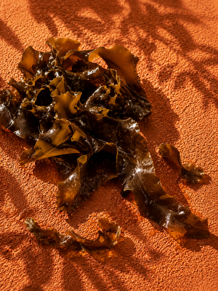 Alaria Esculenta Extract