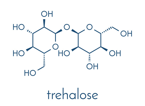 What is trehalose and why is it good for the skin?