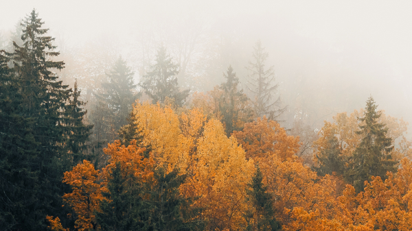 Nature’s Clock and Circadian Dermatology: How your body’s internal rhythm shapes your skin’s health