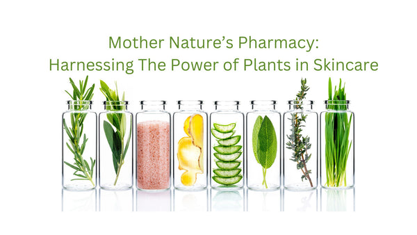 Harnessing Nature's Bounty: The Power of Plants in Skincare
